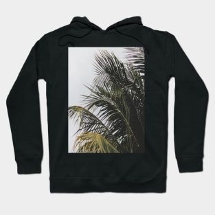 palm tree Hoodie